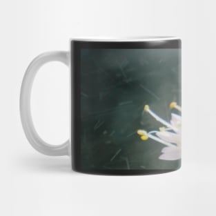 Nodding Allium Abstract Mug